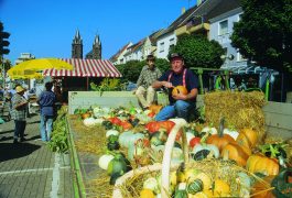 Impressionen
