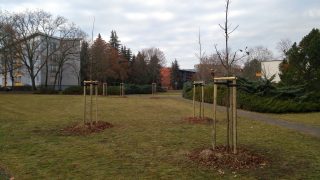Impressionen umgesetzter Vorschläge