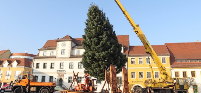 Aufstellung Weihnachtsbaum 2021