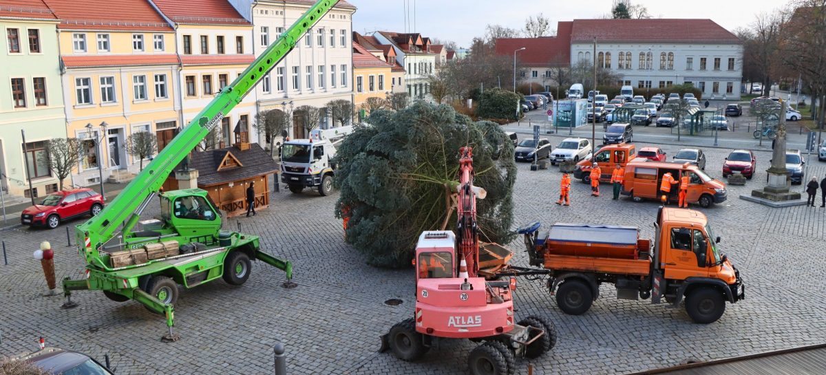 Aufstellen des Weihnachtsbaumes in der Altstadt am 18.11.2025