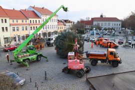 Aufstellen des Weihnachtsbaumes in der Altstadt am 18.11.2025