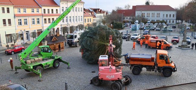 Aufstellen des Weihnachtsbaumes in der Altstadt am 18.11.2025