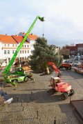 Aufstellen des Weihnachtsbaumes in der Altstadt am 18.11.2025
