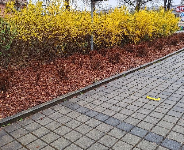 Parkplatzsensoren am Zoo - Foto 2