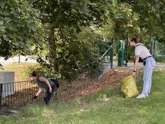 Zwei Frauen sammeln Abfälle an einem begrünten Hang neben einem Zaun. Eine Frau hält einen gelben Müllsack, die andere greift mit einer Müllzange ins Gras.